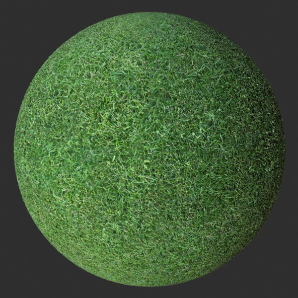 Grass #1 PBR Material