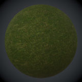 Mossy Ground #1 PBR Material