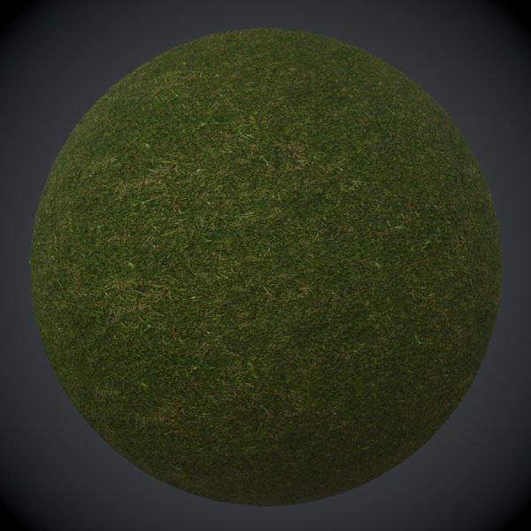 Mossy Ground #1 PBR Material