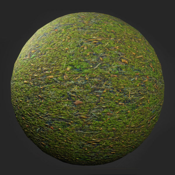 Mossy Mixed Ground PBR Material