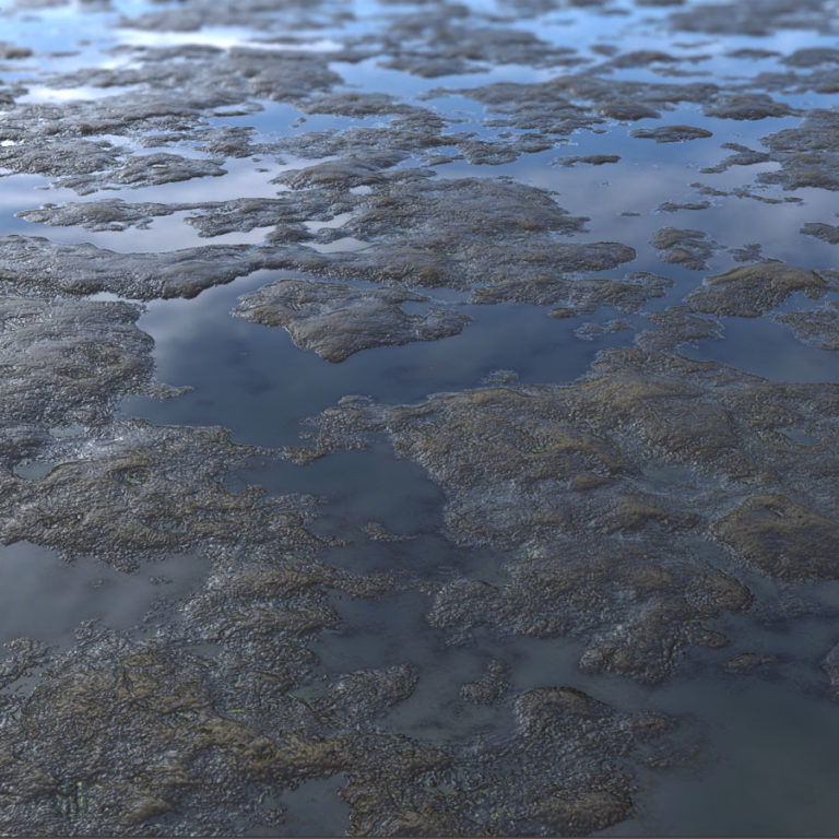 Bog 1 PBR Material