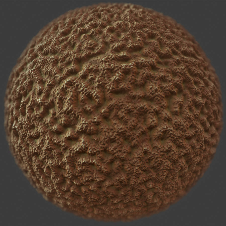 Coral 1 PBR Material - Free PBR Materials