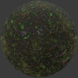 Forest Floor 1 PBR Material