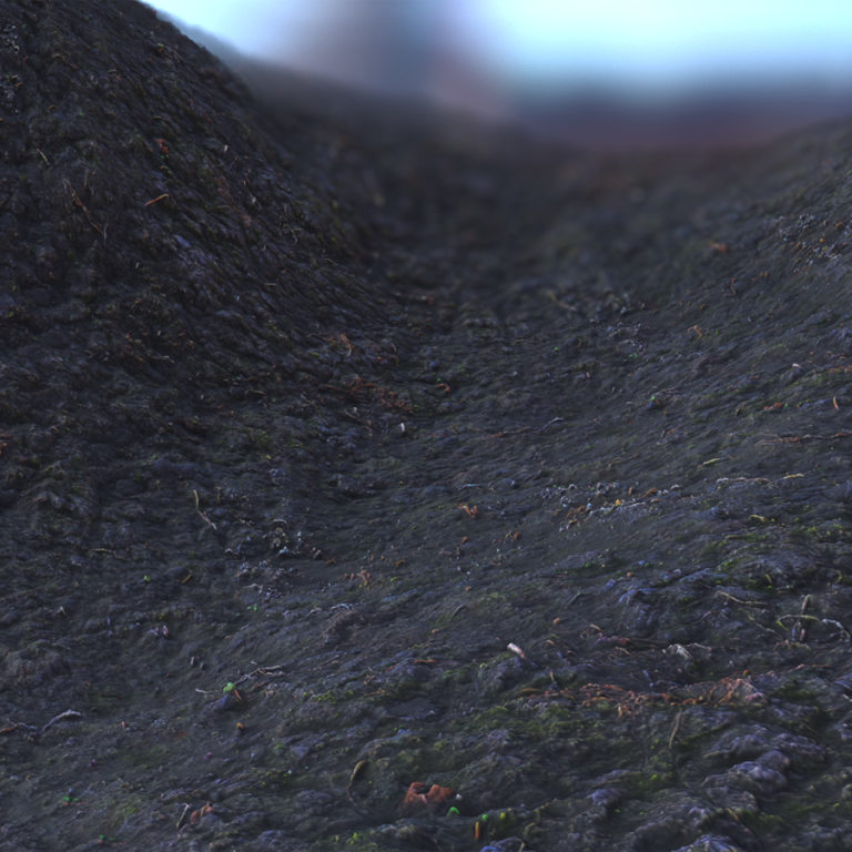 Mossy Mud 1 PBR Material