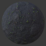 Mud with Vegetation PBR Material