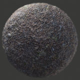 Pine Forest Ground PBR Material