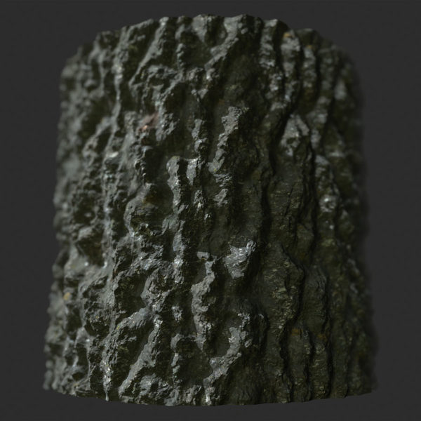 Mature Oak Tree Bark PBR Material