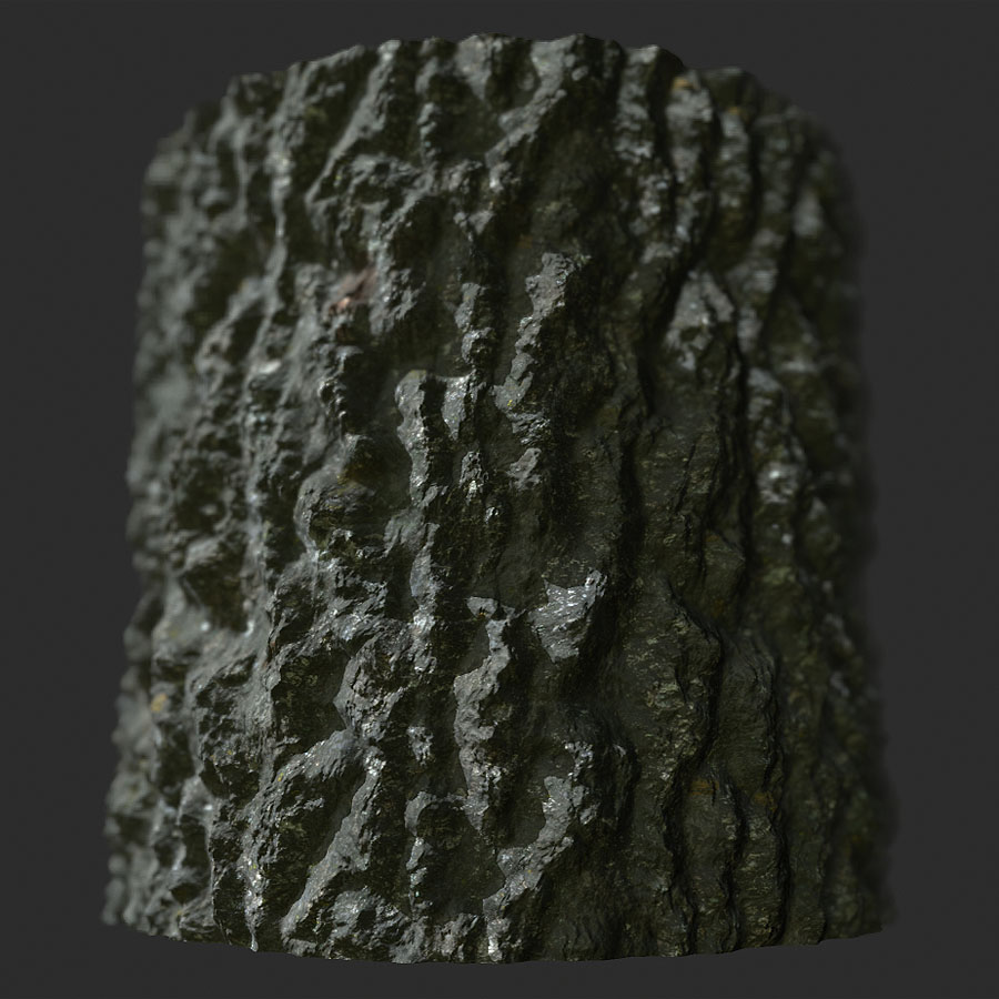 Oak Tree Bark PBR Texture