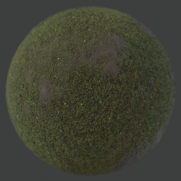 Patchy Meadow 1 PBR Material