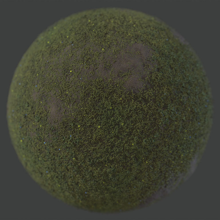 Patchy Meadow 1 PBR Material