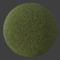 Wispy Grass Meadow 1 PBR Material