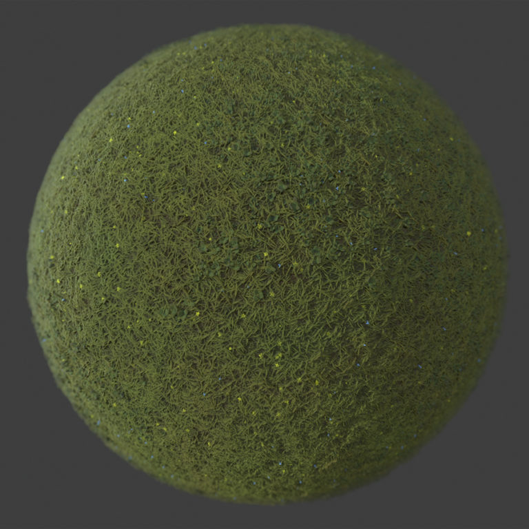 Wispy Grass Meadow 1 PBR Material