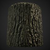 Ash Tree Bark PBR Material