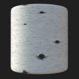 Birch Bark PBR Material Birch Bark PBR Material