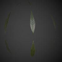 Narrow Jungle Leaf PBR Material
