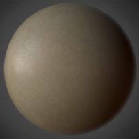 Bone PBR Material Bone PBR Material
